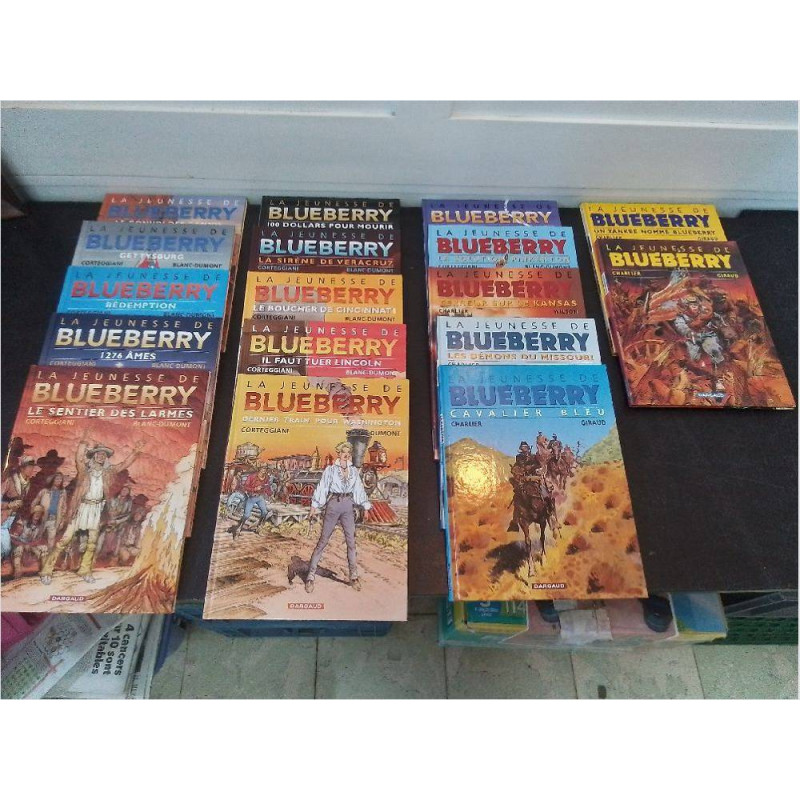 BD BLUEBERRY LA PIÈCE