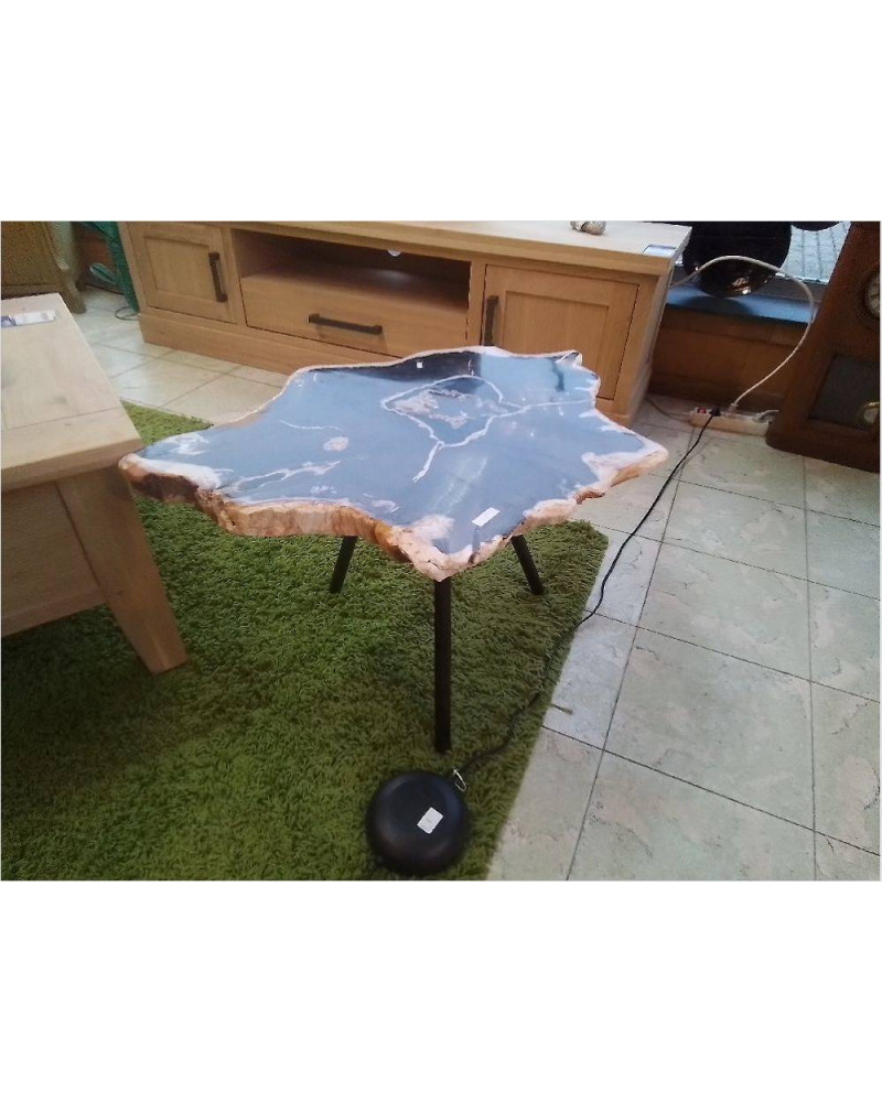TABLE BASSE BOIS FOSSILISÉ 31