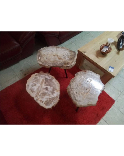 TABLES GIGOGNES BOIS FOSSILISÉ LA SÉRIE DE 3