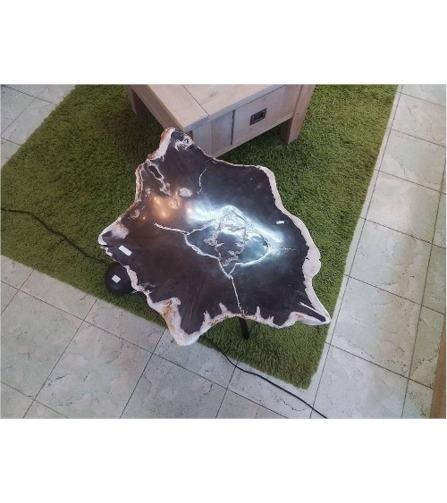 TABLE BASSE BOIS FOSSILISÉ 31