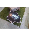 TABLE BASSE BOIS FOSSILISÉ 31