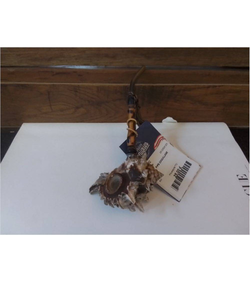 PIPE COQUILLAGE