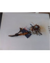 PIPE COQUILLAGE