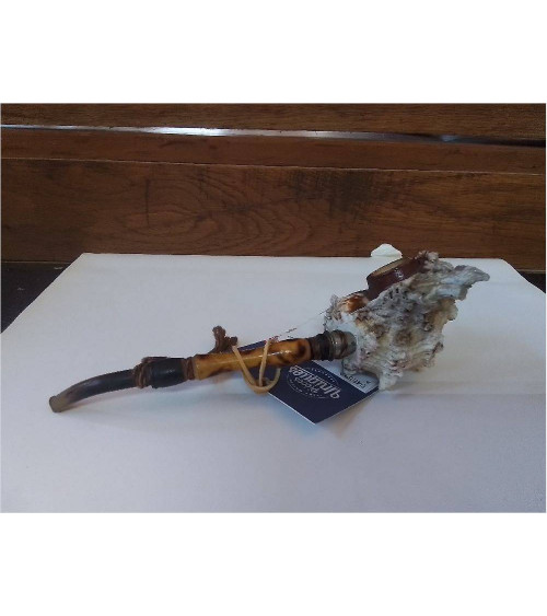 PIPE COQUILLAGE