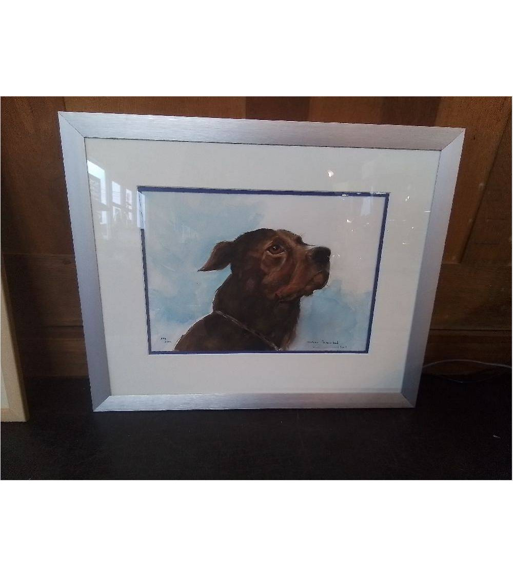 AQUARELLE CHIEN SIGNEE A MARCHAL 55X45