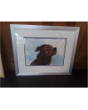 AQUARELLE CHIEN SIGNEE A MARCHAL 55X45