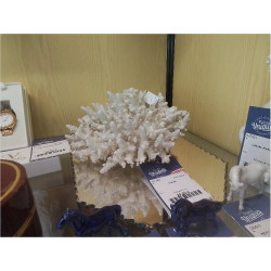 CORAIL