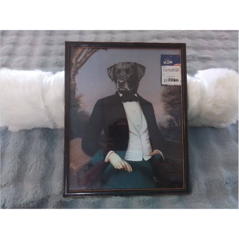 AFFICHE ENCADREE PORTRAIT A TETE DE CHIEN PONCELET