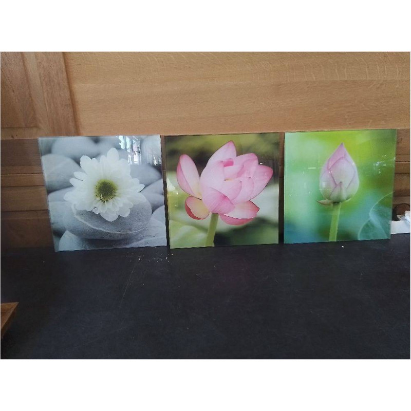CREDENCE MURALE EN VERRE DECOR FLEURS