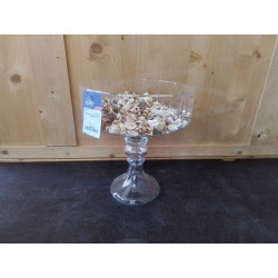 COUPE SUR PIED EN VERRE...