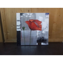 TOILE COQUELICOT SIGNE 60X60