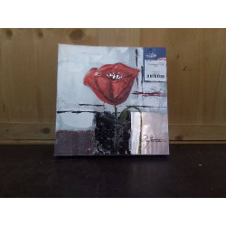 TOILE COQUELICOT SIGNE 30X30