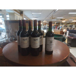 BOUTEILLE DE VIN POUR DECO