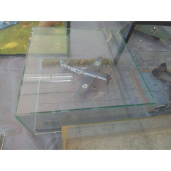 MAQUETTE AVION SOUS VERRE 