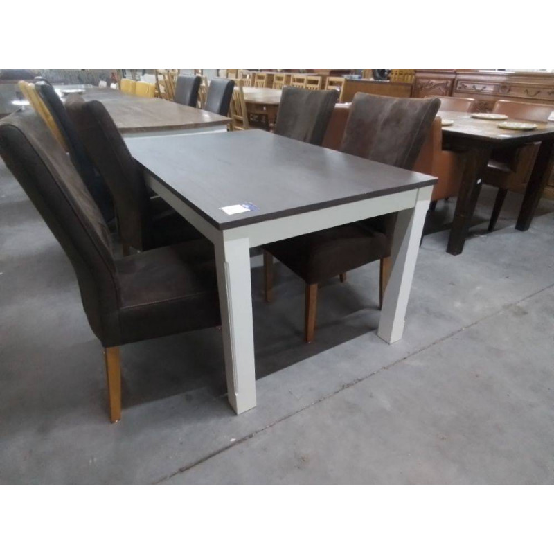 TABLE RECTANGULAIRE MODERNE 2 TONS 140X90