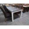 TABLE RECTANGULAIRE MODERNE 2 TONS 140X90