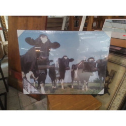 TOILE VACHES