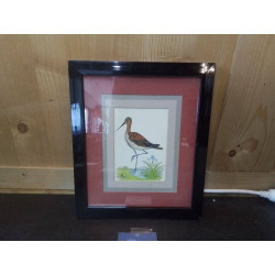 CADRE AVEC DESSIN ECHASSIER...