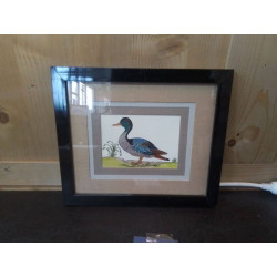 CADRE AVEC DESSIN CANARD...