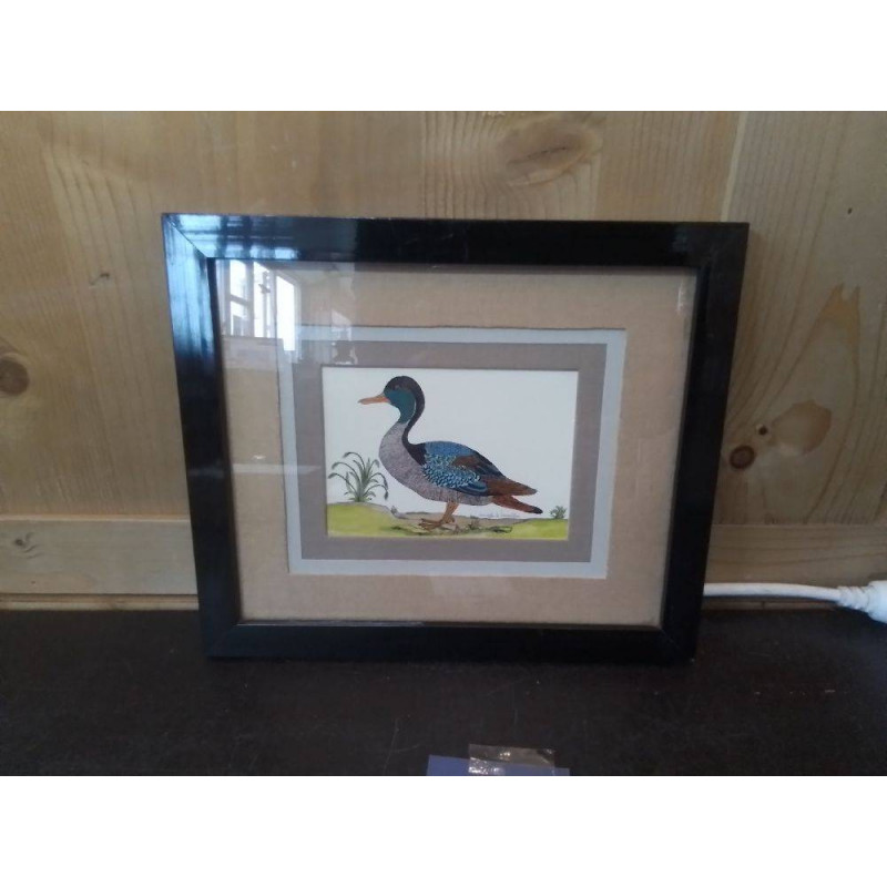 CADRE AVEC DESSIN CANARD SIGNE DAYELLE DE TERRONBLAN