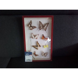 CADRE AVEC PAPILLONS