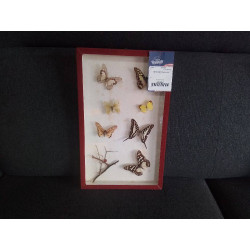 CADRE AVEC PAPILLONS