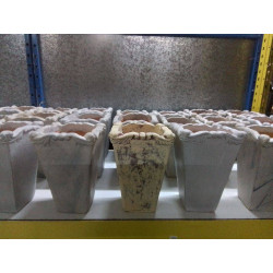 POT RECTANGULAIRE 24CM TERRE CUITE LA PIECE 