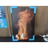 PHOTO SUR ALU HOMME DU FEU 40X60