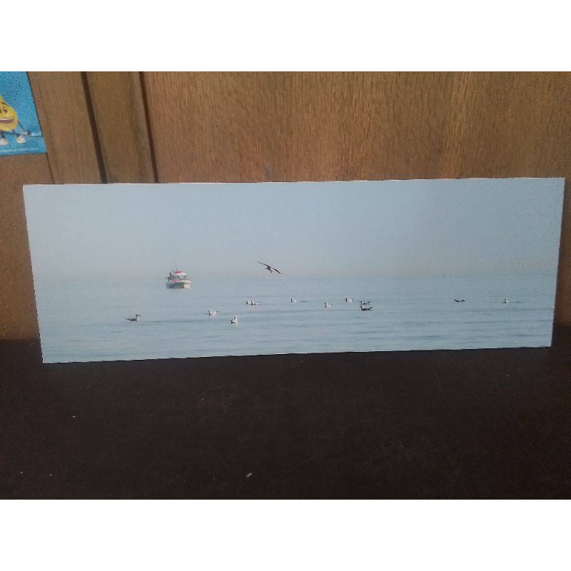 PHOTO SUR ALU BATEAU EN MER 60X20
